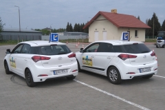 Sitnik - szkoła jazdy Augustów
